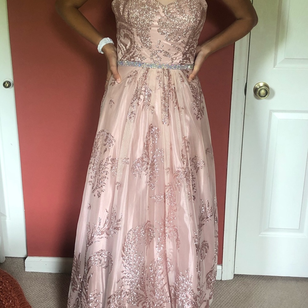 Rose Pink Fancy Dress